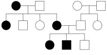 Autosomal dominant disorders do not skip a generation, so affected offspring have affected parents. One parent must have the disorder for its offspring to be affected. Both males and females are equally likely to be affected, so it is an autosomal disorder.