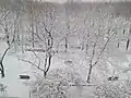 A winter snowfall in Williamsbridge Oval Park