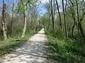 Cyclists and hikers enjoy the nearby Illinois Prairie Path - Elgin Branch