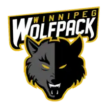 Team logo