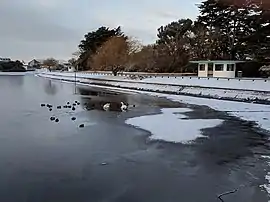 Winter scene at Mewsbrook Park