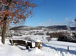 Wolfshagen im Harz in winter