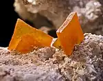 Image 61Wulfenite, by Didier Descouens (from Wikipedia:Featured pictures/Sciences/Geology)