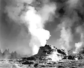 A geyser in Yellowstone