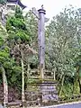 Shendaozhu at the tomb of Yu Youren in Yangmingshan National Park, Taipei