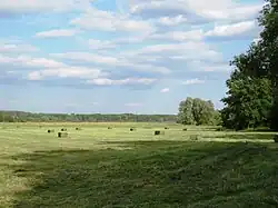 Meadow on the floodplain of the Don River, Pavlovsky District