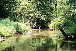 Warta river between Poczesna and Zawodzie