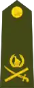 Lieutenant general(Zimbabwe National Army)