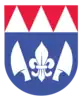 Coat of arms of Hluchov