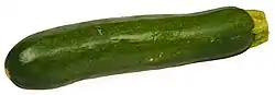 Slender green squash