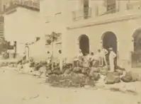 Processing of rubber, Manaus, 1906.