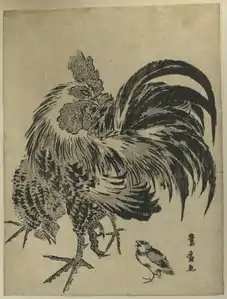 Cock, 1804