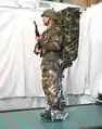 DARPA Power armaturaElectromechanical exoskeleton